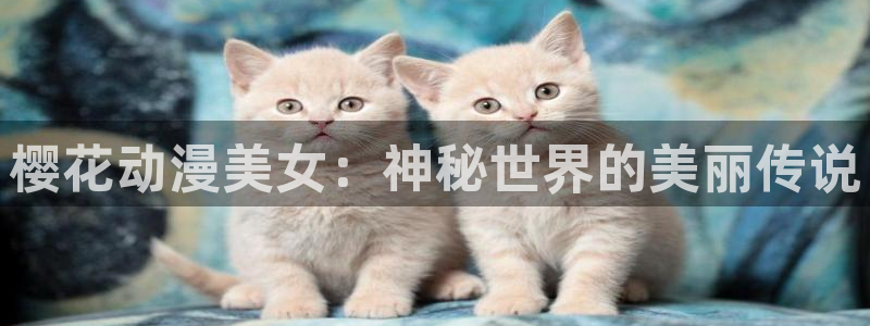 omofun官方版下载：樱花动漫美女：神秘世界的美丽传说