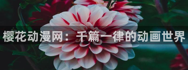omofun苹果能下载吗：樱花动漫网：千篇一律的动画世界
