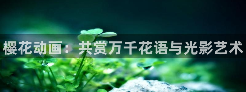 omofun漫画：樱花动画：共赏万千花语与光影艺术