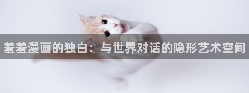 动漫omofun下载