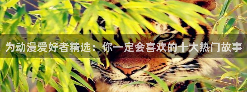 omofun有病毒吗：为动漫爱好者精选：你一定会喜欢的十大热门故事