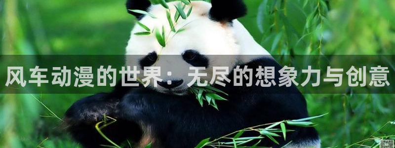 动漫omofun下载：风车动漫的世界：无尽的想象力与创意
