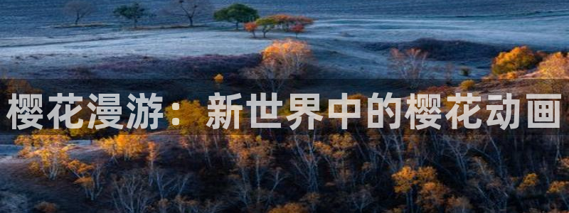 omofun官方app下载：樱花漫游：新世界中的樱花动画
