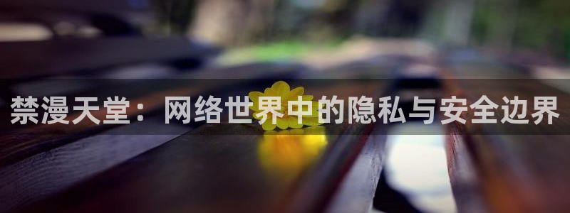omofun专注动漫官网入口：禁漫天堂：网络世界中的隐私与安全边界