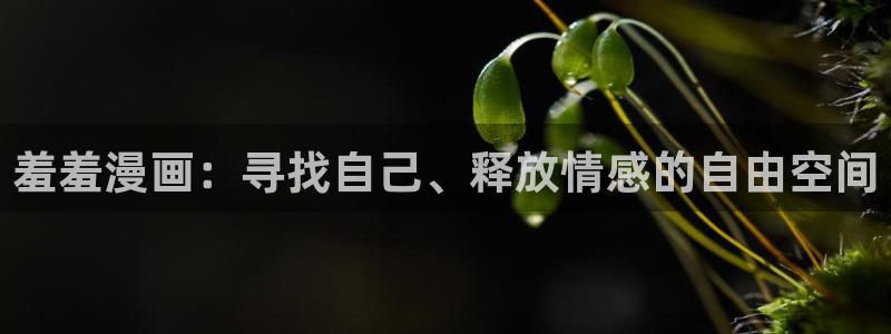 下载omofun动漫：羞羞漫画：寻找自己、释放情感的自由空间