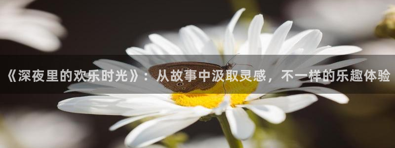 喵趣漫画入口下载：《深夜里的欢乐时光》：从故事中汲取灵感，不一样的乐趣体验