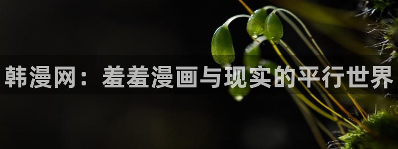 omofun 在线观看