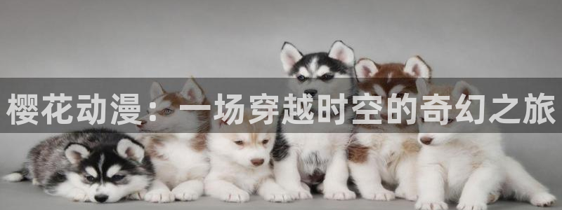 omofun官方网
