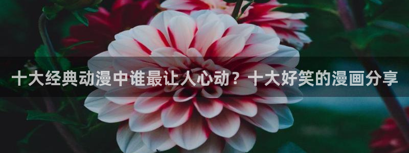 omofun.worko：十大经典动漫中谁最让人心动？十大好笑的漫画分享