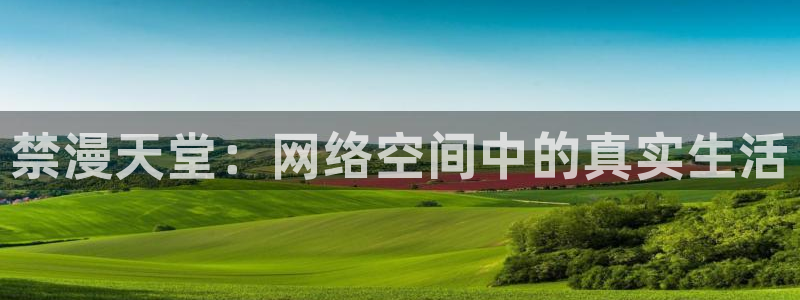 omofun网站入口：禁漫天堂：网络空间中的真实生活