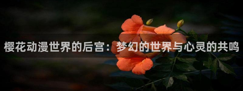 omofun下载官方正版网站：樱花动漫世界的后宫：梦幻的世界与心灵的共鸣