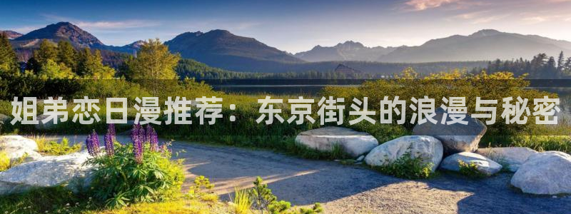 omofun.on：姐弟恋日漫推荐：东京街头的浪漫与秘密