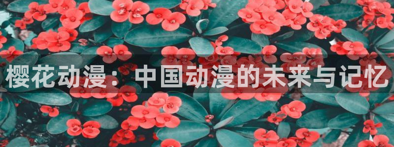 喵趣漫画安卓下载：樱花动漫：中国动漫的未来与记忆