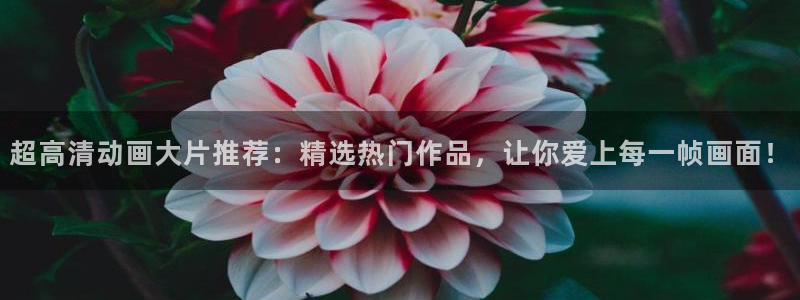 omofun 官网：超高清动画大片推荐：精选热门作品，让你爱上每一帧画面！