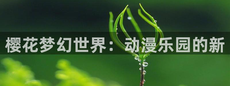 喵趣漫画进入：樱花梦幻世界：动漫乐园的新