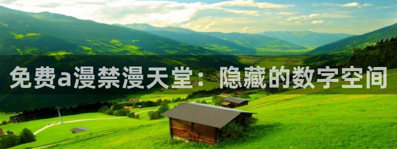 omofun动漫在线看：免费a漫禁漫天堂：隐藏的数字空间